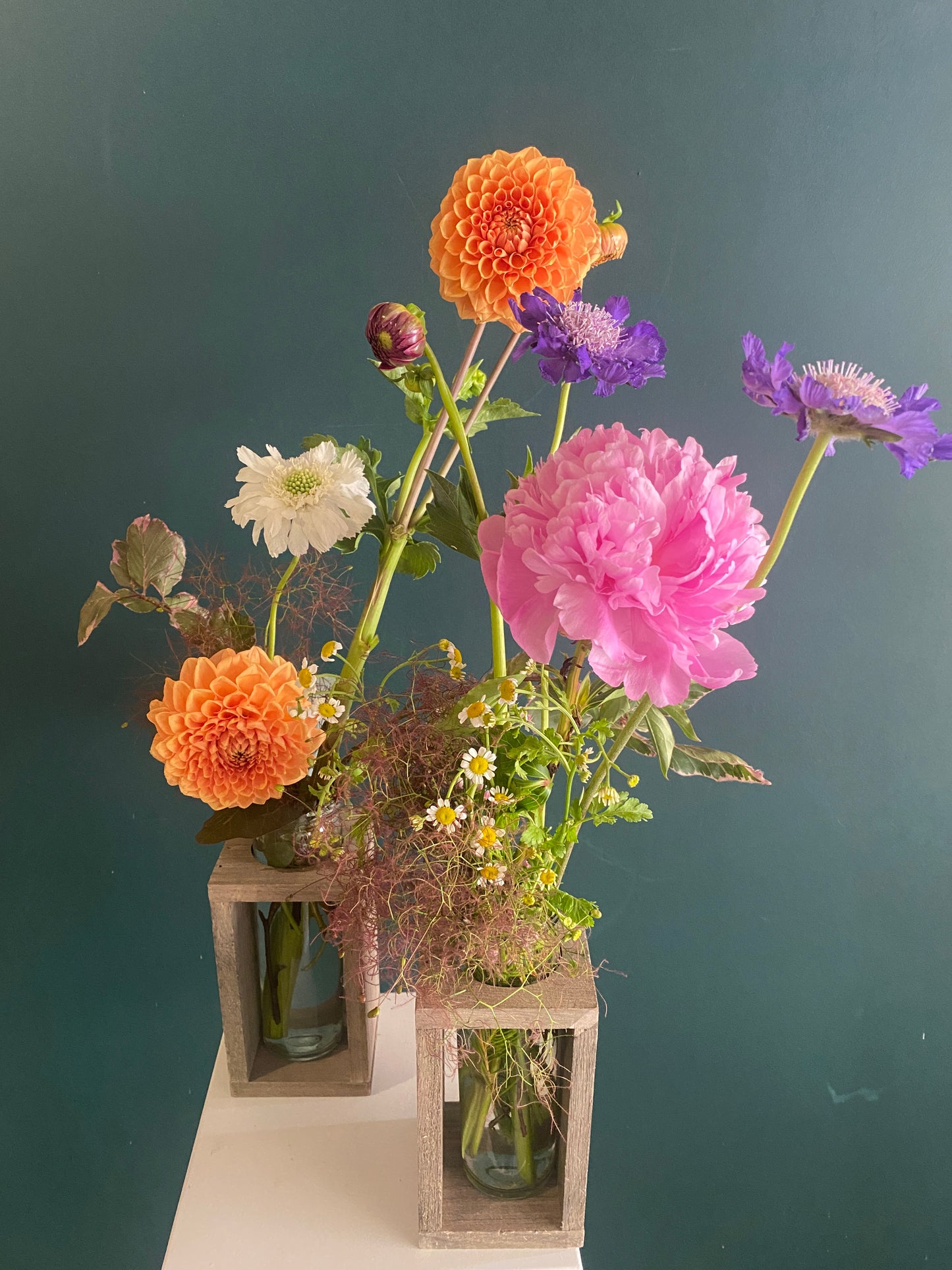 Single stem vase for gifting with seasonal bright colour flowers by Bold Botanicals