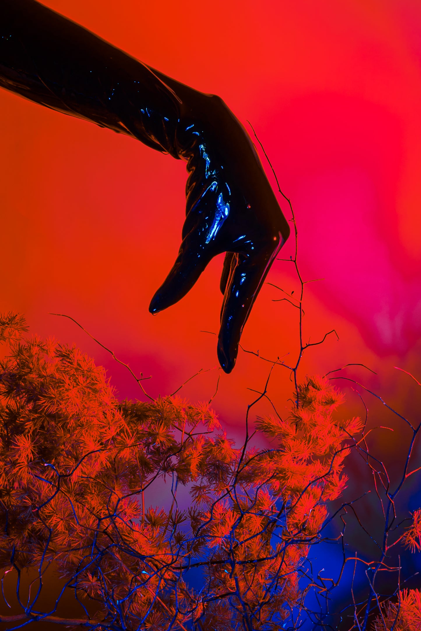 A latex gloved hand dips into a neon gardenscape with a bright red background. A collaboration between photographer Lexy Potts and Bold Botanicals.