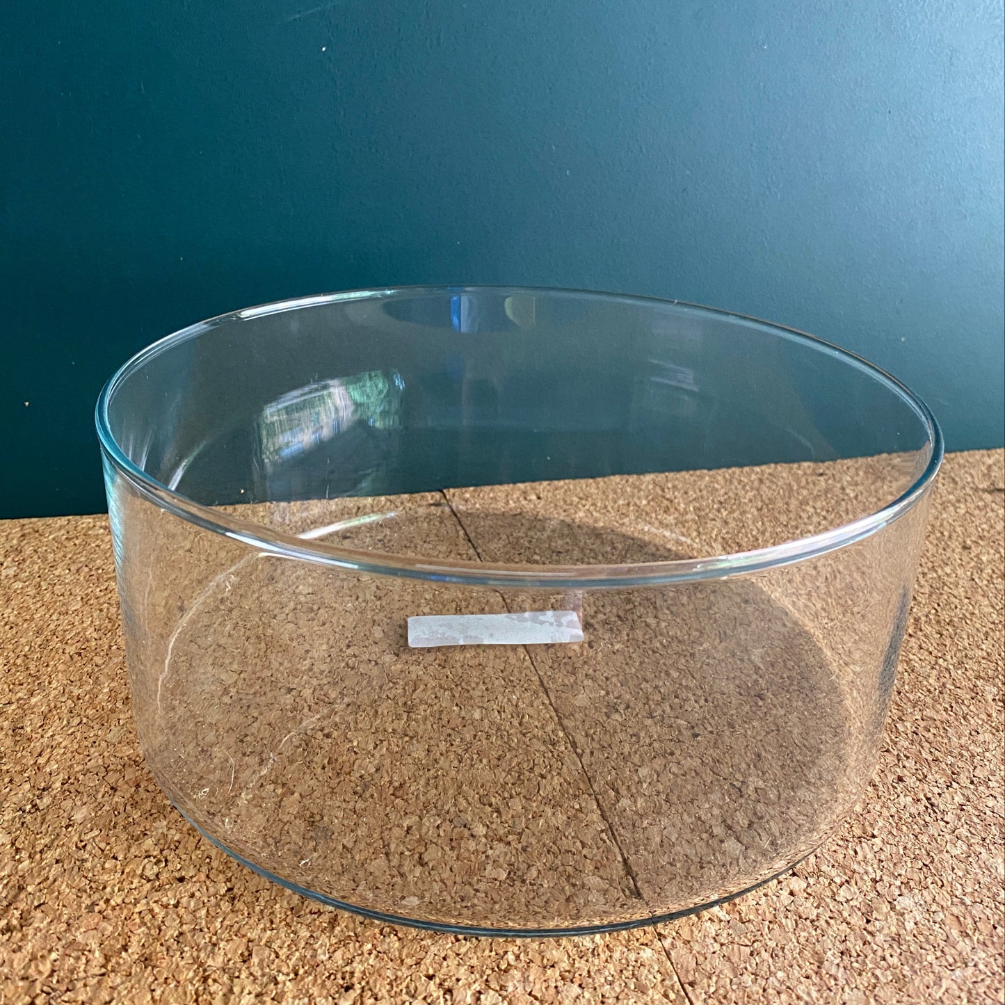 Low round clear glass cylinder vase 9cmH x 26cm Diameter