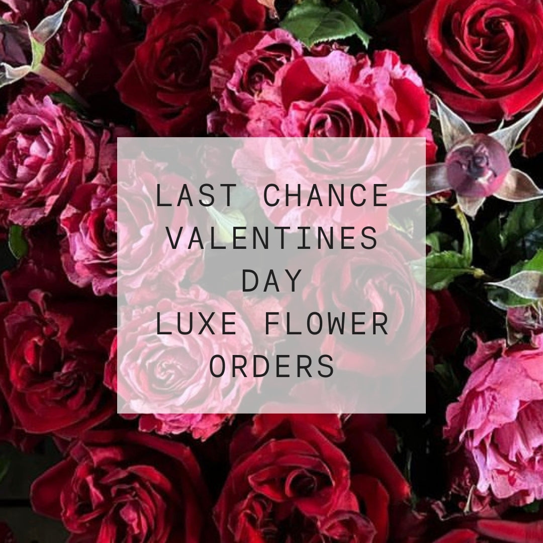 Celebrate love beautifully