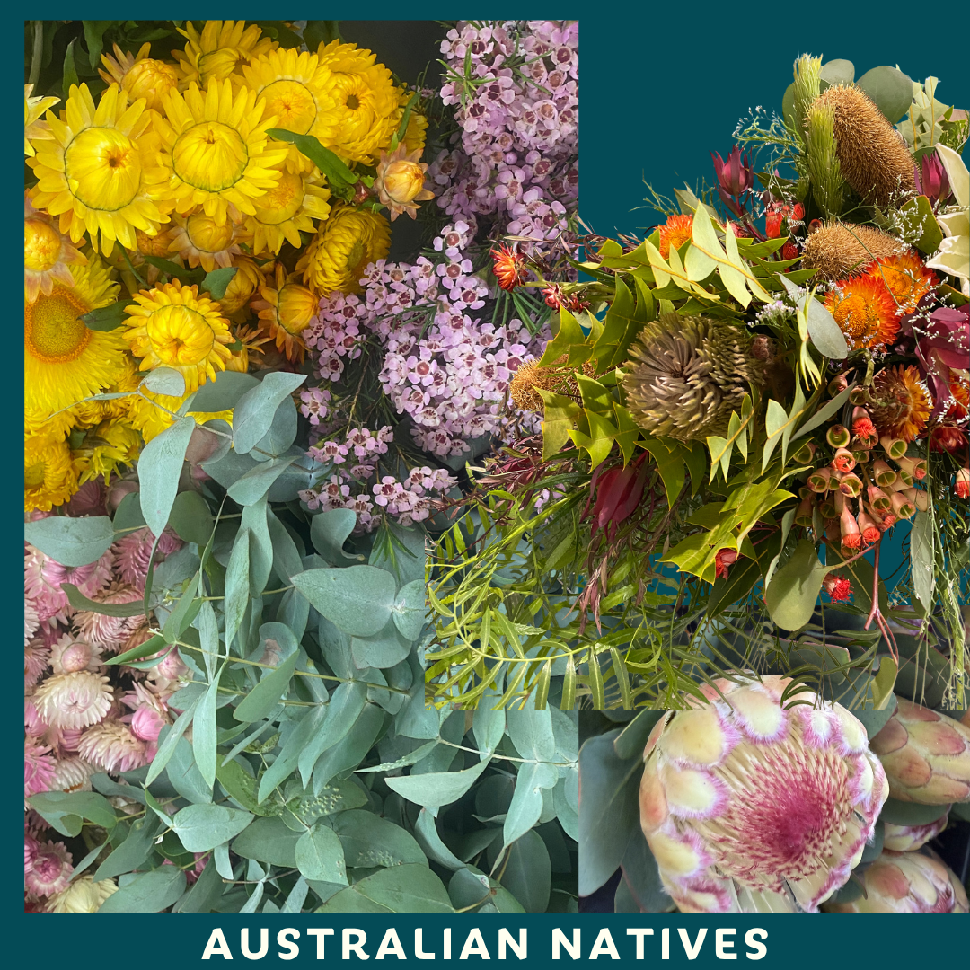 GIFTING | The Bold Betty Bouquet | Delivery or Pickup Wednesday to Friday