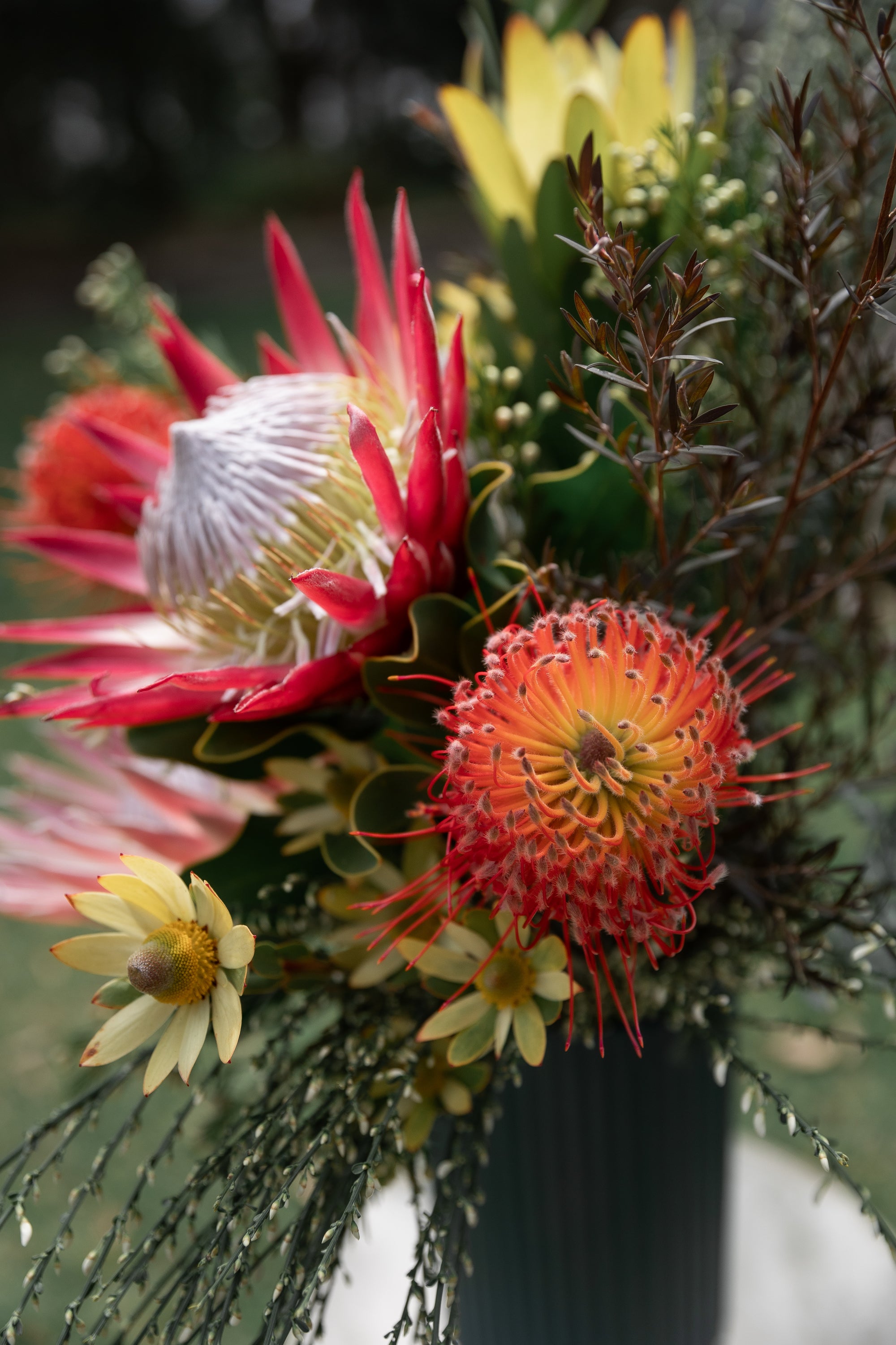 A closeup of a vase of bright coloured australian native proteas and banksias in a wedding vase