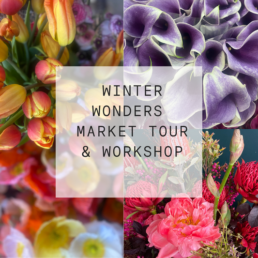 Bright coloured flowers with a text box saying Winter Wonders Market Tour & Workshop