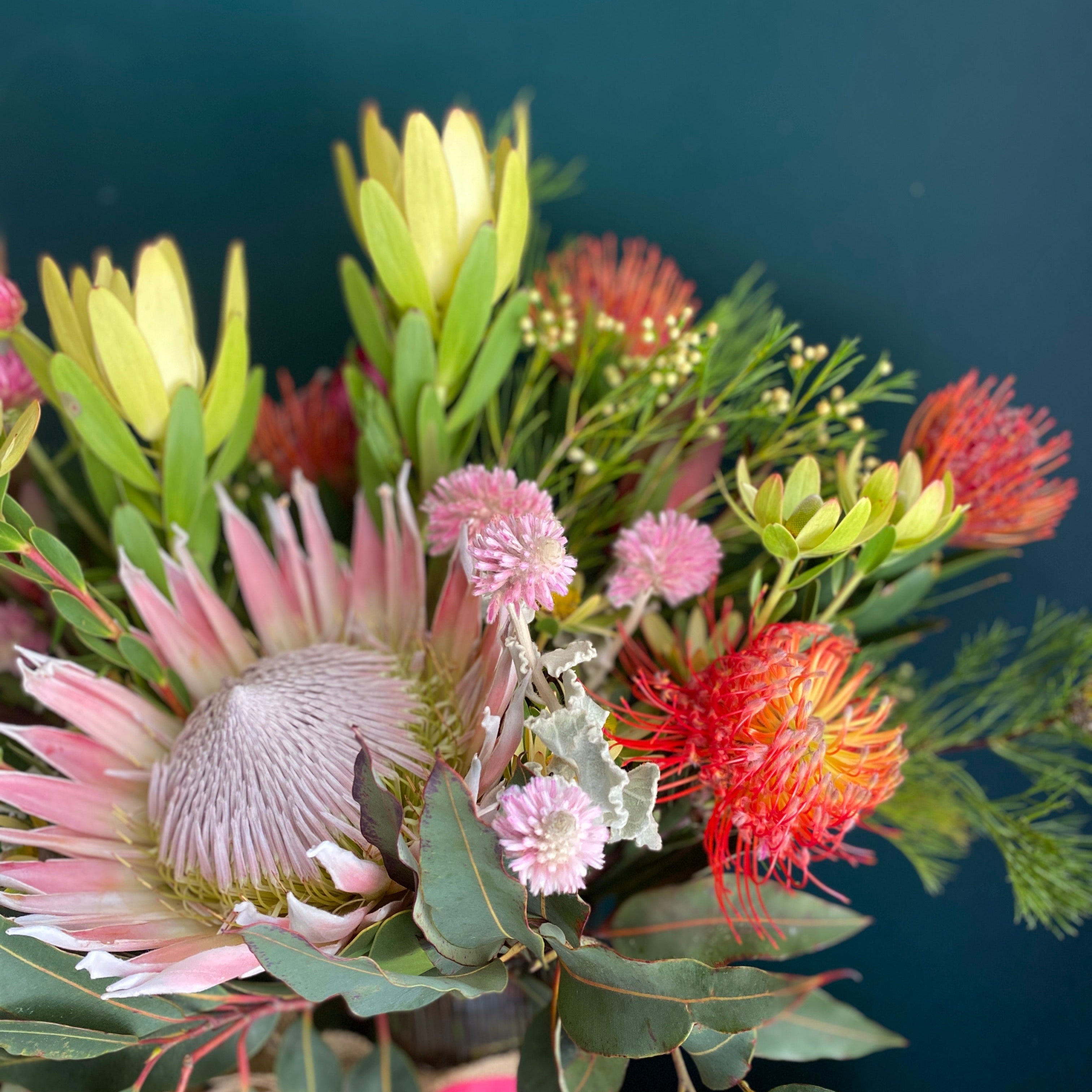 A colourful flower arrangement with a pink protea at the center of the Bold Betty bouquet