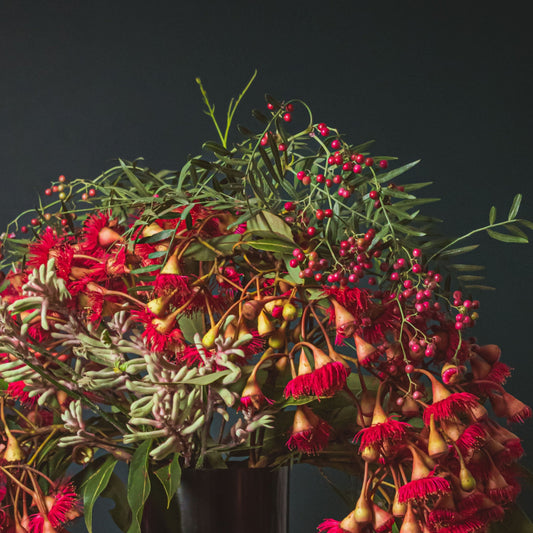 Red and yellow flowering gum floral arrangement in a black pot with a deep green background