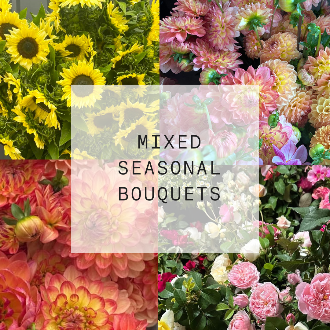 MOTHERS DAY - POP UP SHOP Marrickville